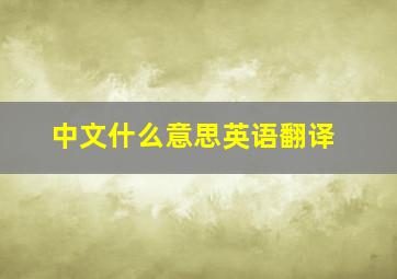 中文什么意思英语翻译