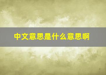 中文意思是什么意思啊