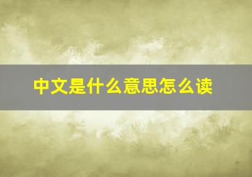 中文是什么意思怎么读