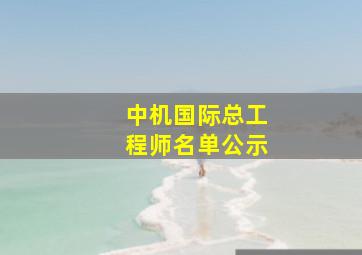 中机国际总工程师名单公示