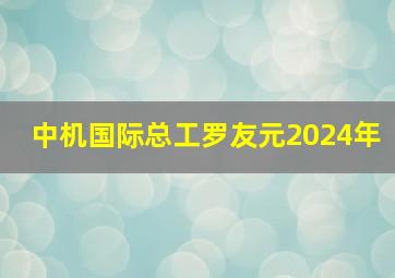 中机国际总工罗友元2024年