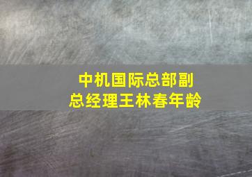 中机国际总部副总经理王林春年龄