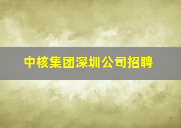 中核集团深圳公司招聘