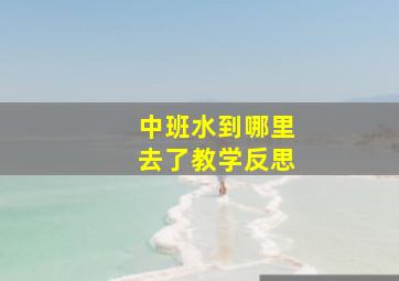 中班水到哪里去了教学反思