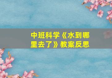 中班科学《水到哪里去了》教案反思