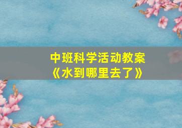 中班科学活动教案《水到哪里去了》