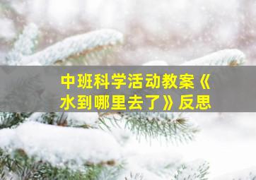 中班科学活动教案《水到哪里去了》反思