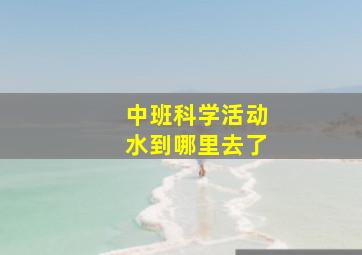 中班科学活动水到哪里去了