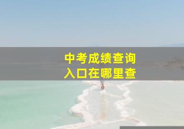 中考成绩查询入口在哪里查