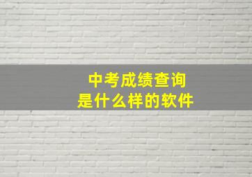 中考成绩查询是什么样的软件