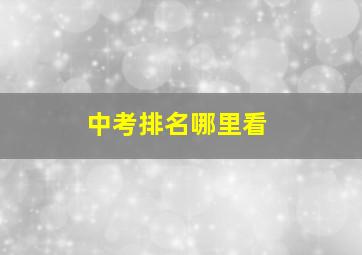 中考排名哪里看