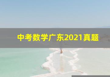 中考数学广东2021真题