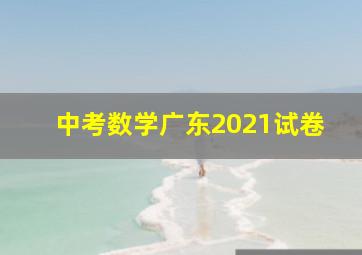 中考数学广东2021试卷