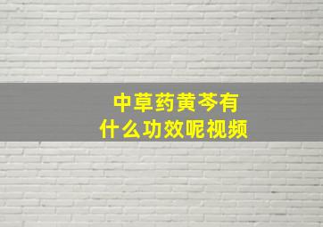 中草药黄芩有什么功效呢视频