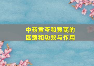 中药黄芩和黄芪的区别和功效与作用