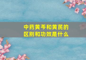 中药黄芩和黄芪的区别和功效是什么