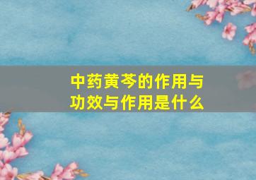 中药黄芩的作用与功效与作用是什么