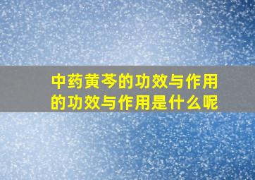 中药黄芩的功效与作用的功效与作用是什么呢