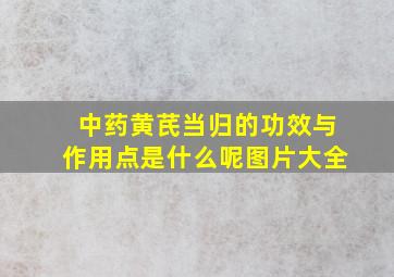 中药黄芪当归的功效与作用点是什么呢图片大全