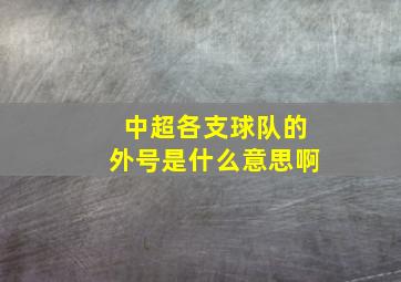 中超各支球队的外号是什么意思啊