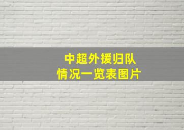 中超外援归队情况一览表图片