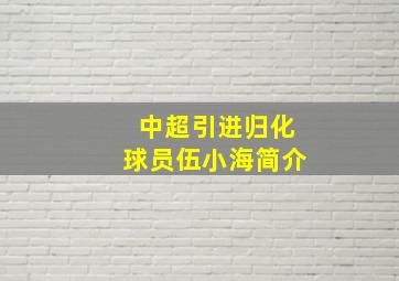 中超引进归化球员伍小海简介