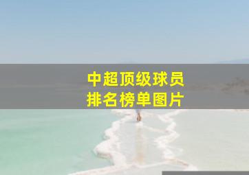 中超顶级球员排名榜单图片