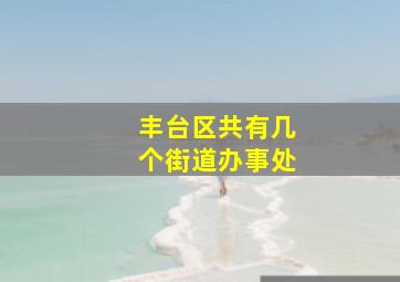 丰台区共有几个街道办事处