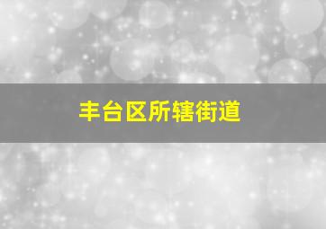 丰台区所辖街道