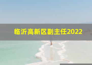 临沂高新区副主任2022