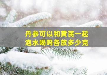 丹参可以和黄芪一起泡水喝吗各放多少克