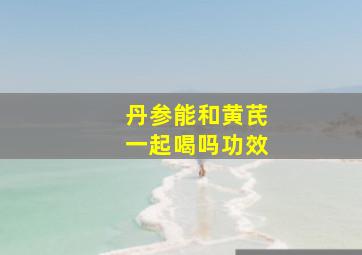 丹参能和黄芪一起喝吗功效