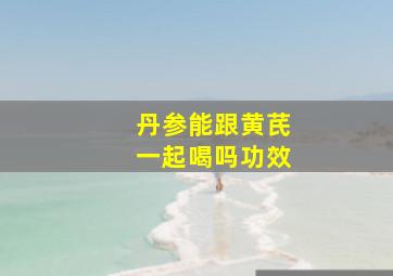 丹参能跟黄芪一起喝吗功效