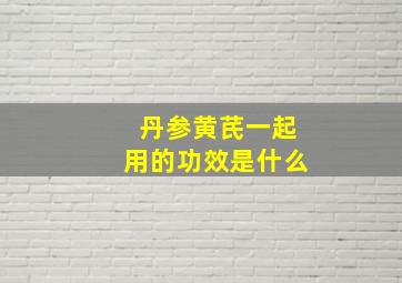 丹参黄芪一起用的功效是什么