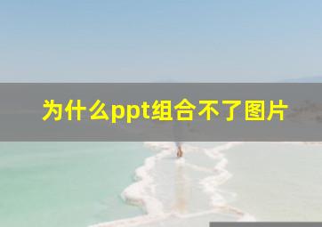 为什么ppt组合不了图片