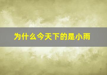 为什么今天下的是小雨