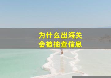 为什么出海关会被抽查信息