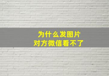 为什么发图片对方微信看不了