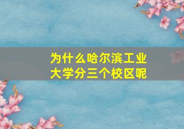 为什么哈尔滨工业大学分三个校区呢