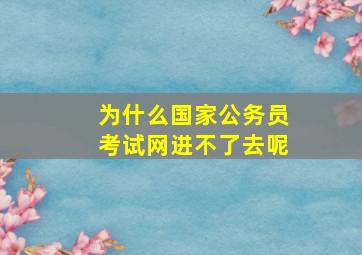 为什么国家公务员考试网进不了去呢