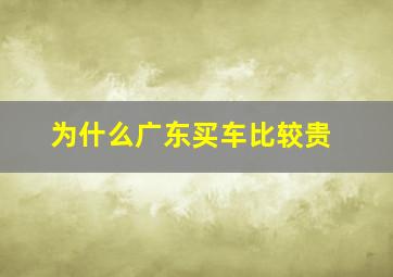 为什么广东买车比较贵