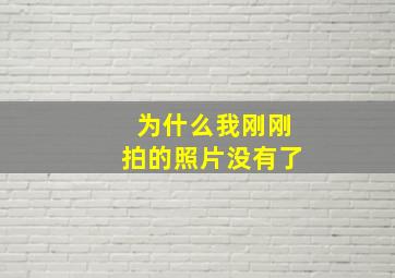 为什么我刚刚拍的照片没有了