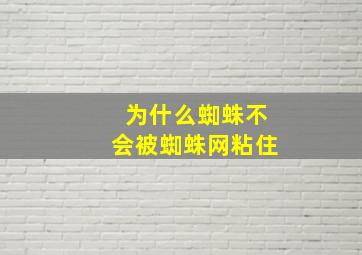 为什么蜘蛛不会被蜘蛛网粘住