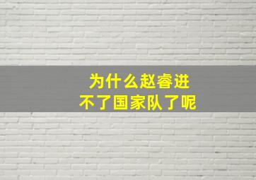 为什么赵睿进不了国家队了呢