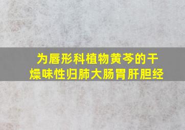 为唇形科植物黄芩的干燥味性归肺大肠胃肝胆经