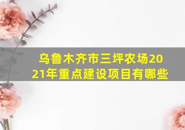 乌鲁木齐市三坪农场2021年重点建设项目有哪些