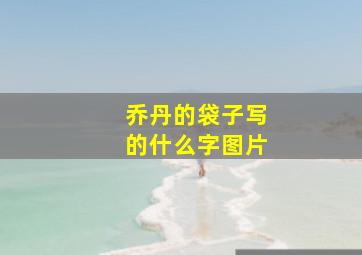 乔丹的袋子写的什么字图片