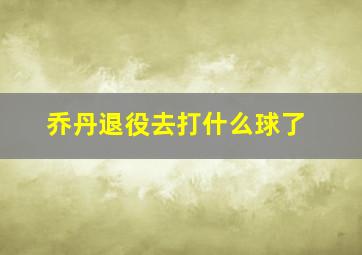 乔丹退役去打什么球了