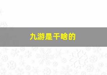 九游是干啥的