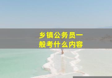 乡镇公务员一般考什么内容